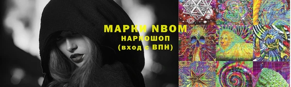 PSILOCYBIN Новозыбков