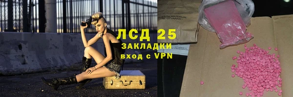 PSILOCYBIN Новозыбков