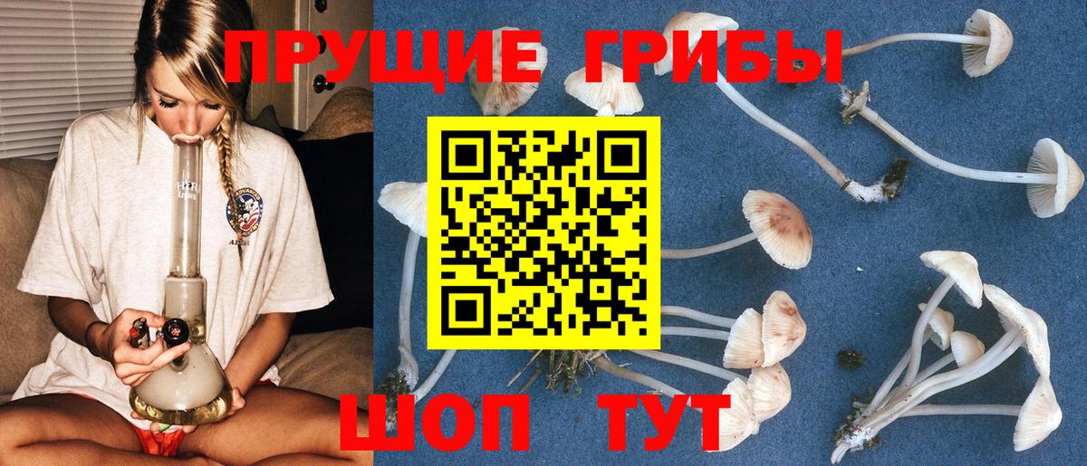 Галлюциногенные грибы MAGIC MUSHROOMS  Вход с VPN  что такое   Саяногорск 